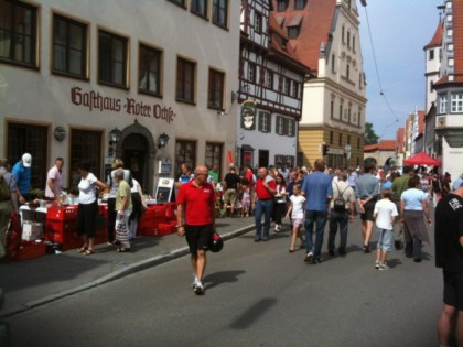 Foto: Roter Ochse