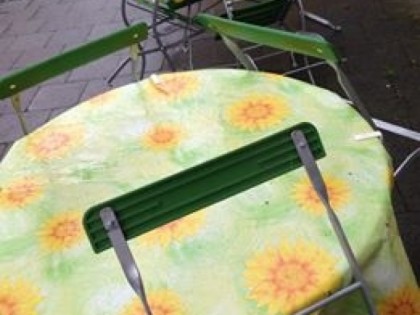 Foto: Roter Ochse
